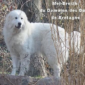 Photo Etalon