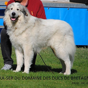 Photo Etalon