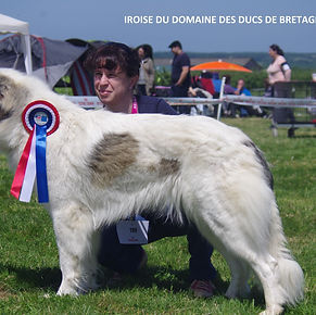Photo Etalon