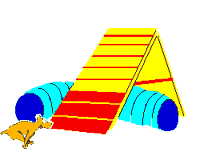 Agility3.gif