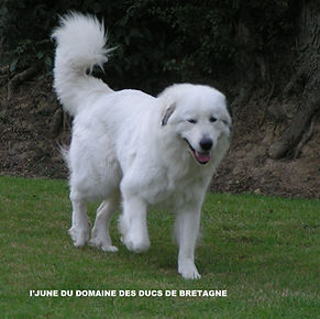 Photo Etalon