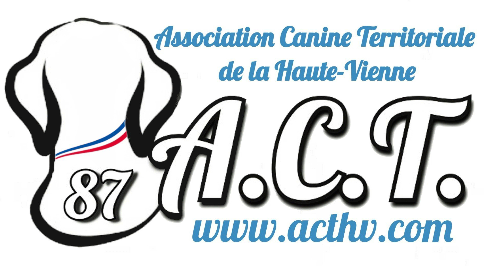 ACT-HV.gif