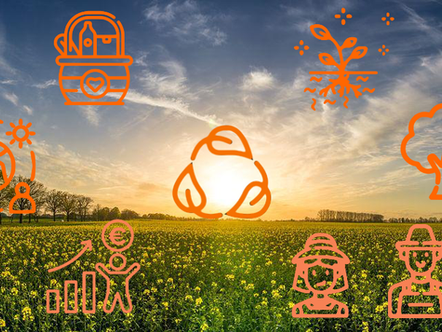 Agroécologie - Définition, principes et pratiques culturales