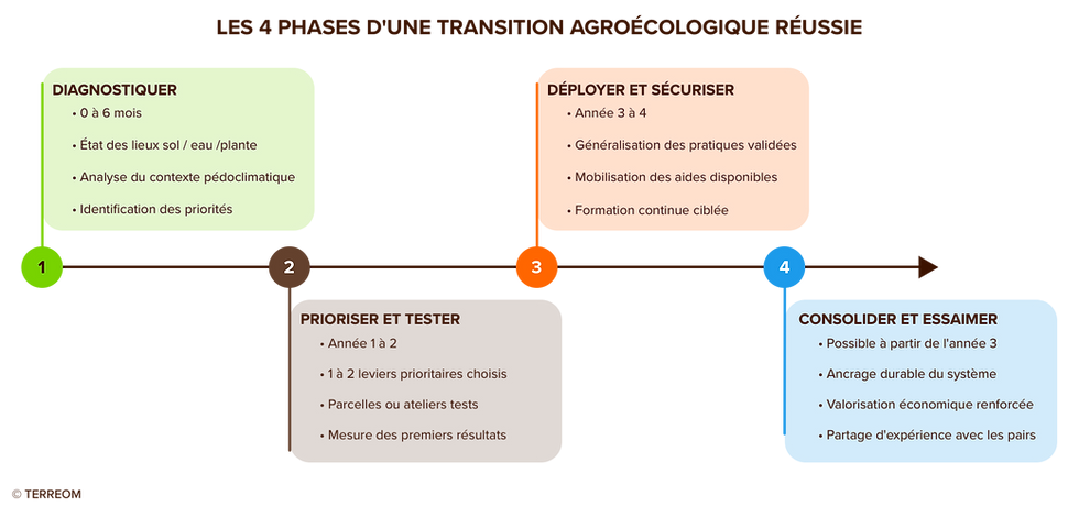 Les 4 phases d'une transition agroécologique réussie, de la phase de diagnostic à la consolidation