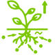 Nutrition_plante.png