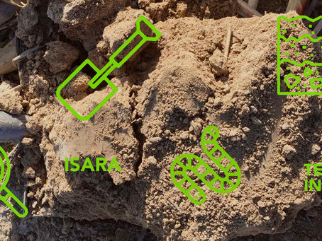 LE TEST BÊCHE : TROIS MÉTHODES SIMPLES POUR ÉVALUER LA STRUCTURE DU SOL