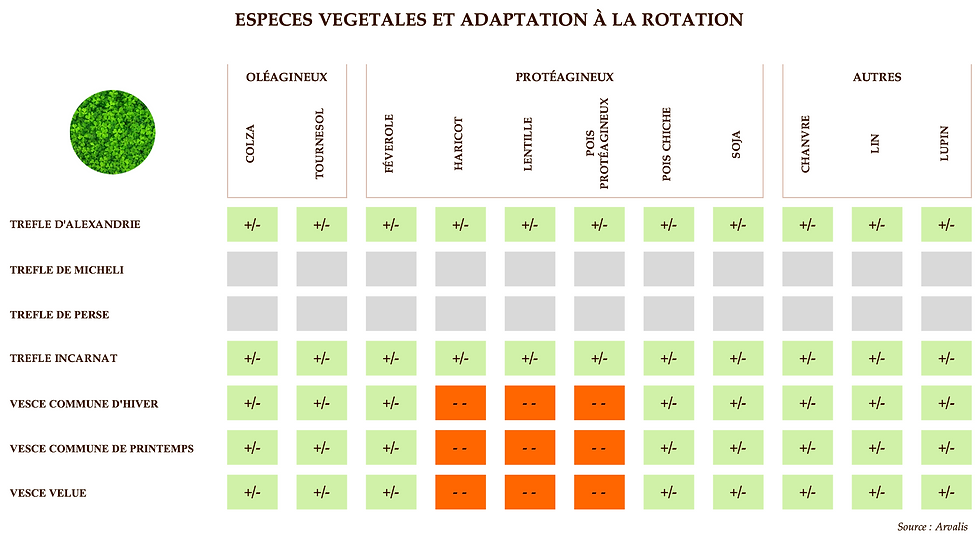 Espèces végétales à privilégier et adaptation à la rotation - Comment composer un couvert végétal avant tournesol ? - 2 sur 2
