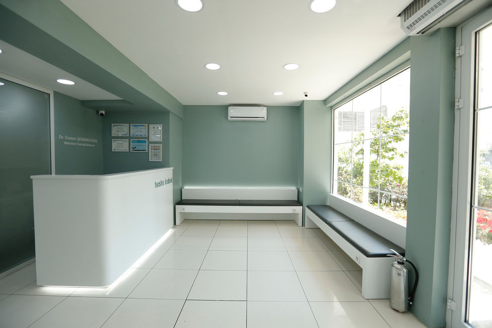 Şekerci Veterinary Clinic – Entrance and Reception Area
