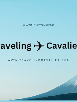 🎉 Celebrating a Milestone: Thank You for Being Part of the Traveling Cavalier Journey!