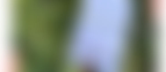 Were You at the Women's March 2021?