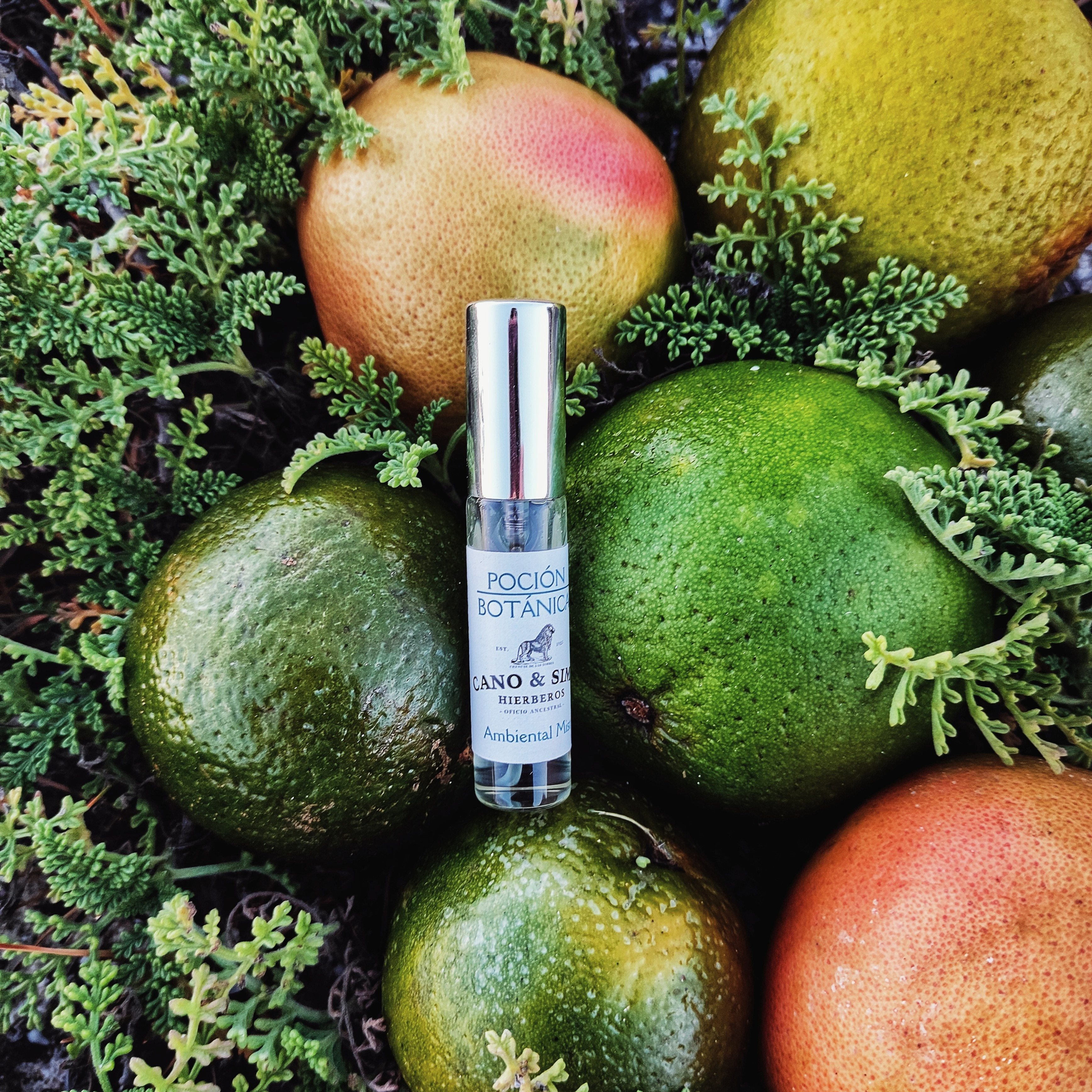 Mist Ambiental Poción Botánica 10 ml