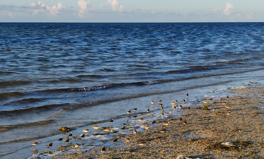 Naturaleza mar y playa