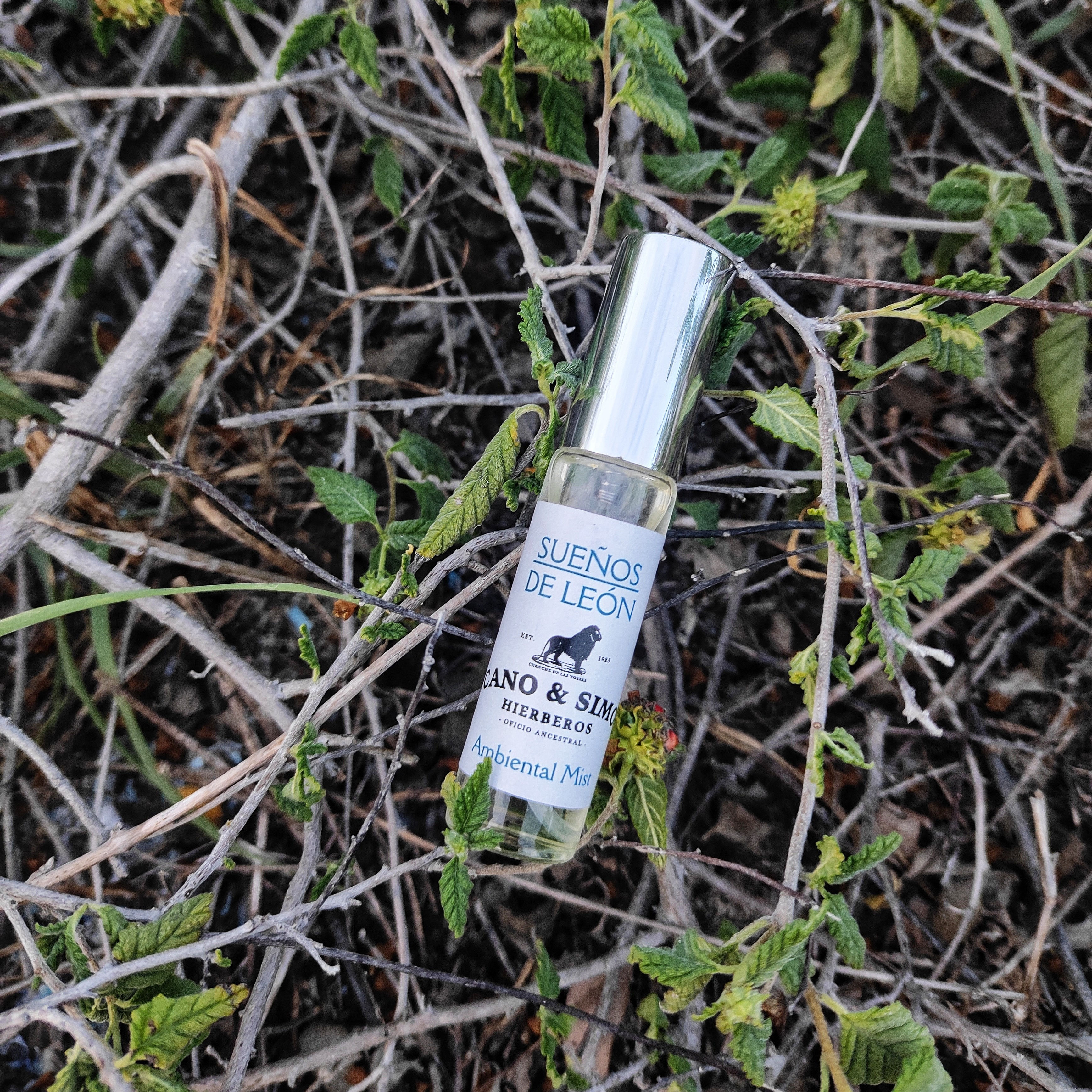 Mist Ambiental Sueños de León 10 ml