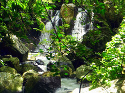 DSCF5271
