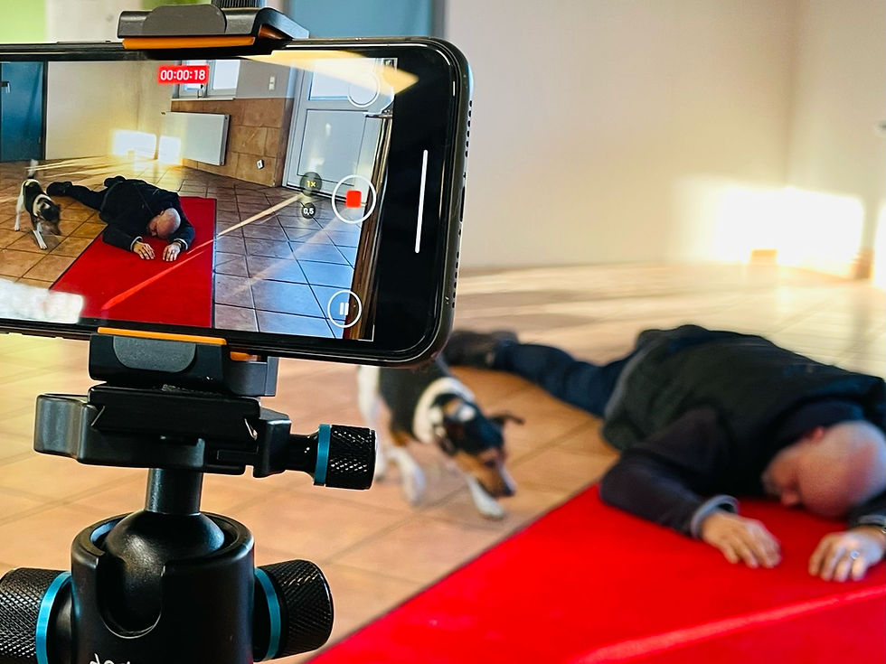 Filmhunde Creative Class