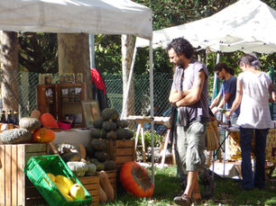 Wem vertrauen? Menschen oder Zertifikaten?