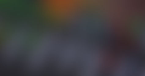 Choosing the Right Stock for You