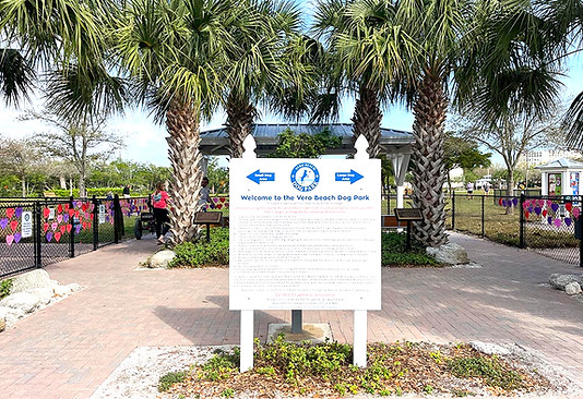 Screenshot 2025-07-17 at 6.11_edited.jpg