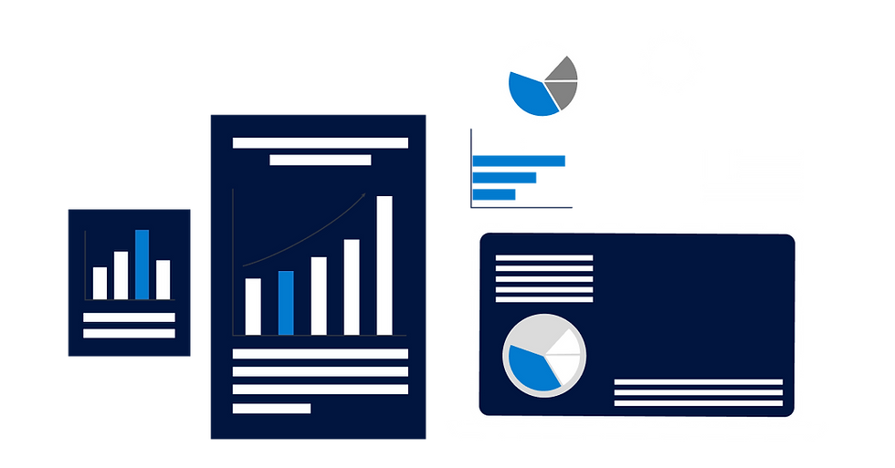 Business Intelligence