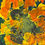 Thumbnail: Summer Rays