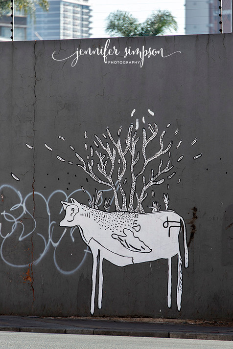 Joburg Graffiti Walk