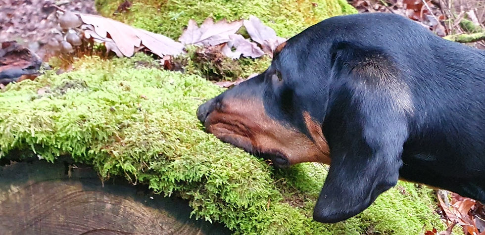 20201227_095946_edited_edited.jpg