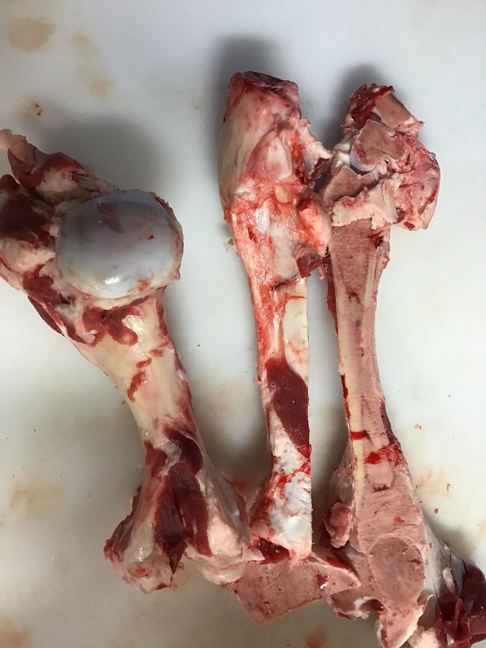 Thumbnail: Beef marrow bone 