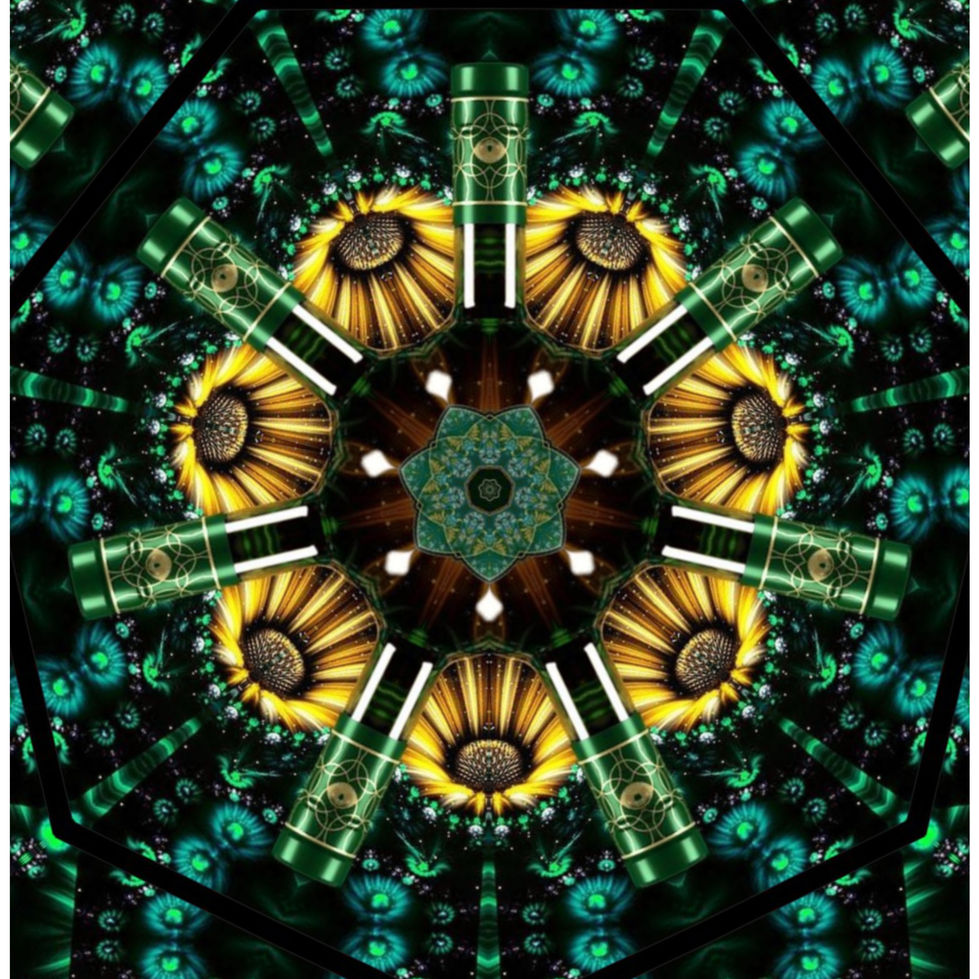 InShot_20220815_161421273