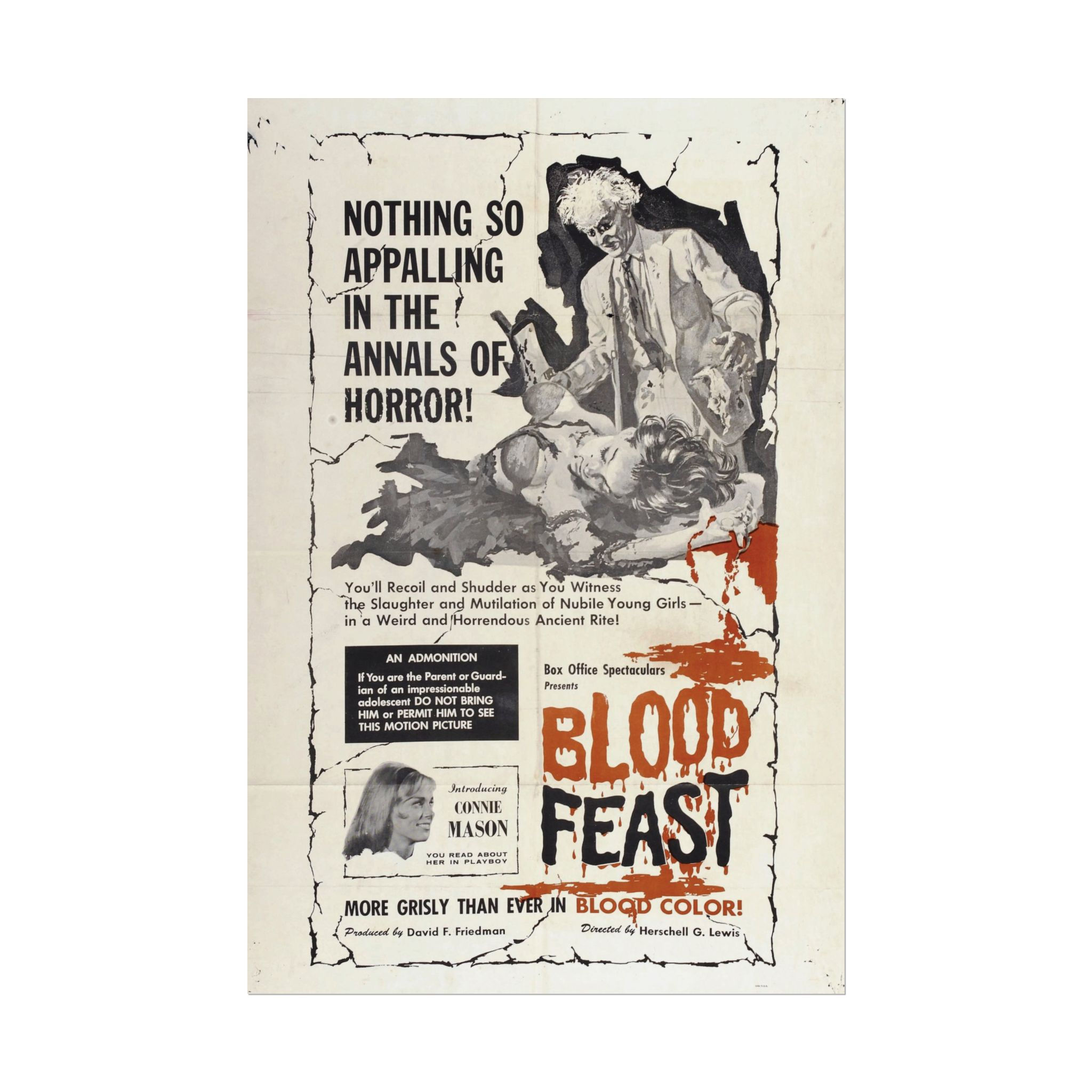 Blood Feast Poster (20" x 30")