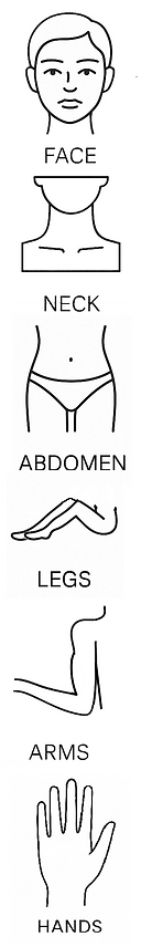 Illustration of microneedling treatment zones – face, neck, abdomen, legs, arms, hands – offered at ALLOR Cosmetic Clinic in Auckland