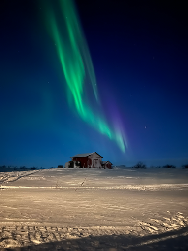 Northern Lights over Arctic landscape in Finnmark Northern Norway