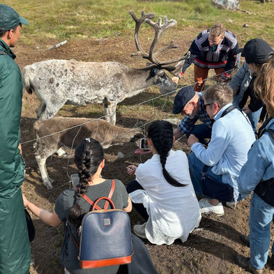 Guests feeding Sámi reindeer during cultural experience in Hammerfest Arctic Norway