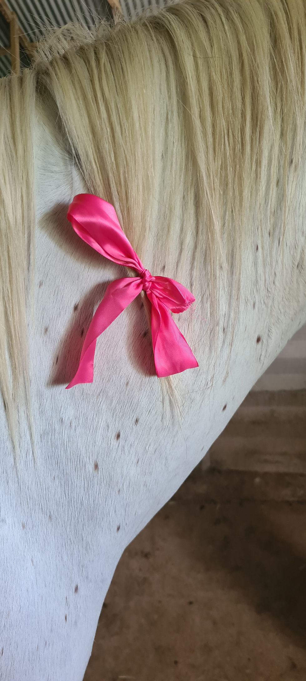 Fine Motor Skills_Poppy