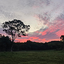 sunset.jpg