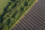 78 MW Solar Park