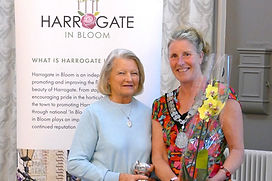 Team Harrogate.JPG