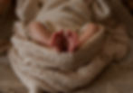 _MG_0014 copie.jpg