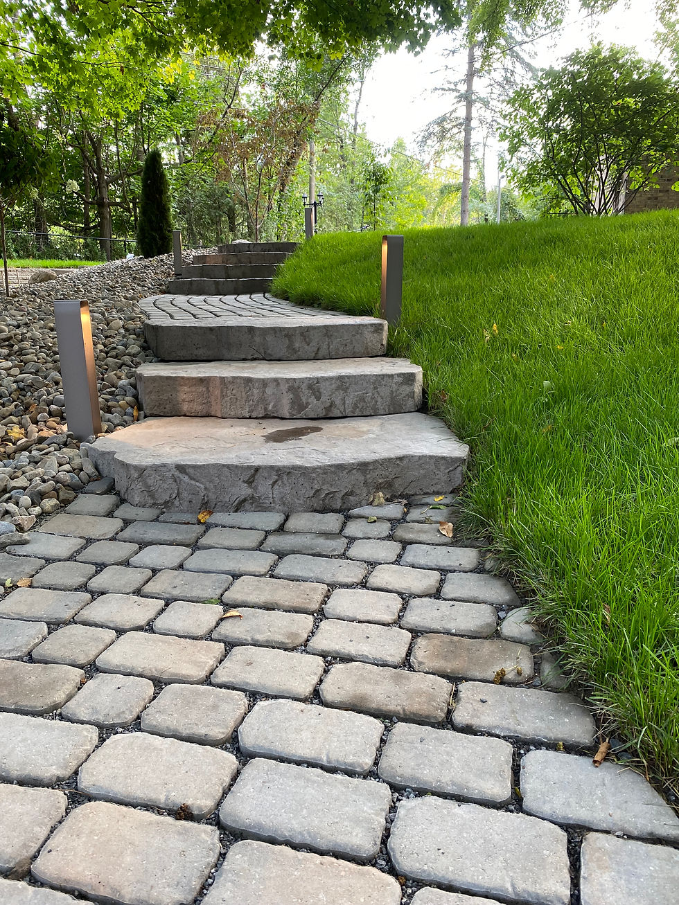 Eye-level view of a permeable paver driveway with greenery around