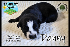 DannyIMG_5673.JPG