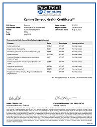 Boomer Health Testing.jpg