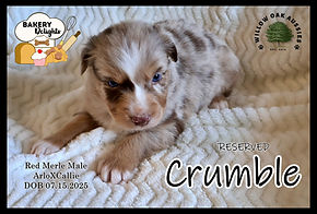 CrumbleIMG_2567.JPG