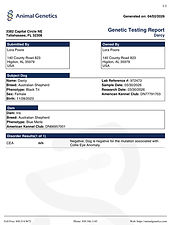 Darcy Health Test.jpeg