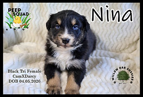 NinaIMG_4918.JPG