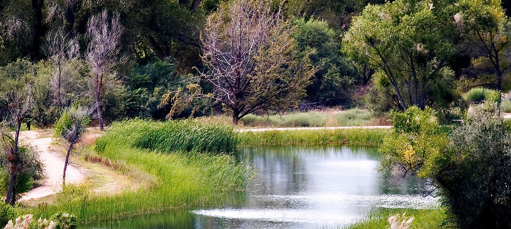 Z Intra Rivers Your Internal River
