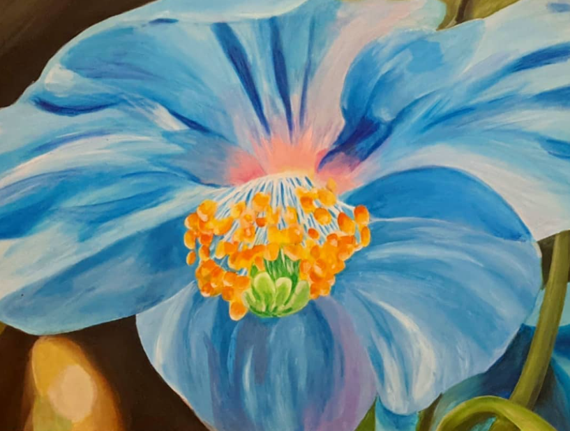 paint