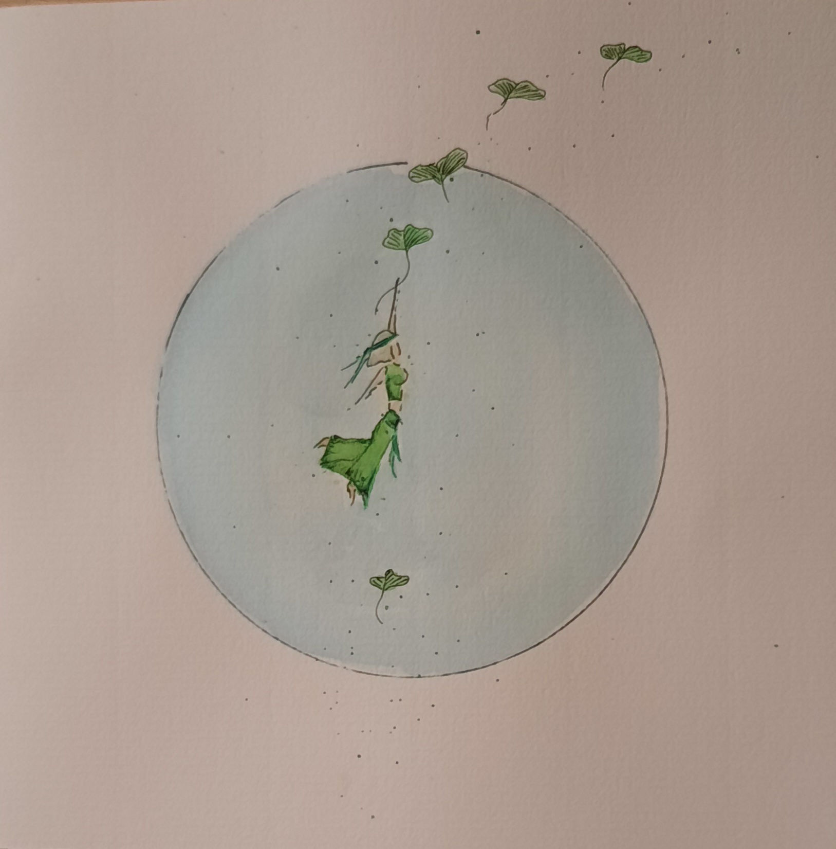 No 5: cartes de voeux