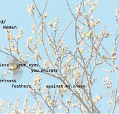 birdwoman score 1.jpg