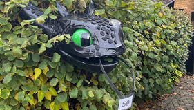 Community Spirit in Full Bloom: Scarecrow Trail Success