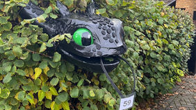 Community Spirit in Full Bloom: Scarecrow Trail Success