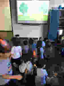 Foto 01